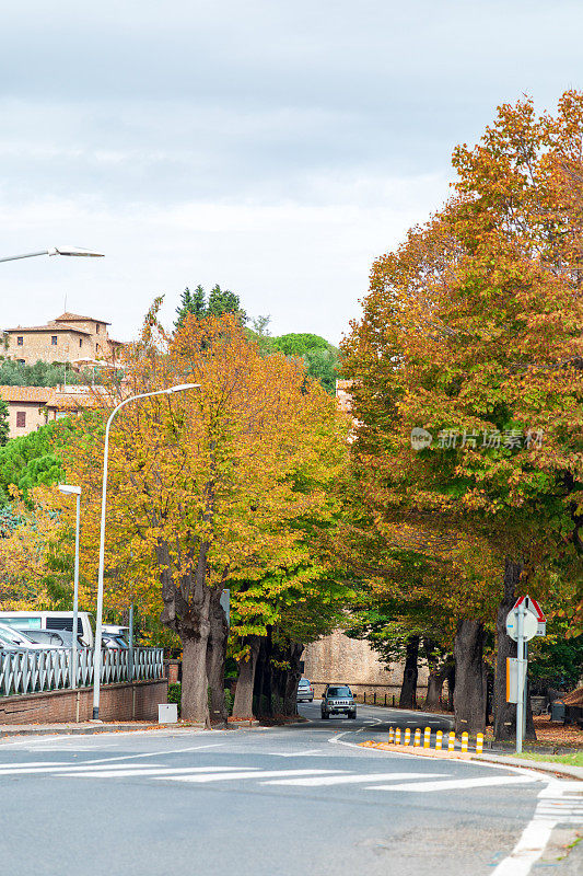 沿着圣吉米尼亚诺(San Gimignano)，在色彩缤纷的树木下奔跑的Strada Provinciale 1路线